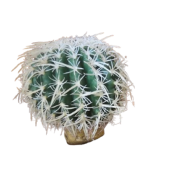 *CLEARANCE* Decor - Cactus