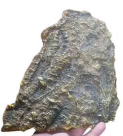 *CLEARANCE* Ceramic Cork Bark