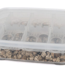 NewCal Reptile Egg Incubation Container with Tray