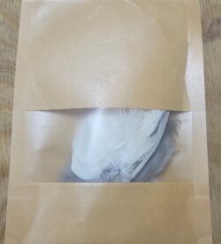 Dehydrated Quail Wings