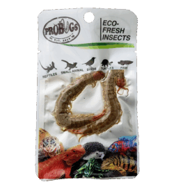 ProBugs Centipedes