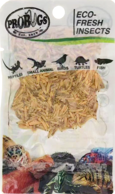 ProBugs Eco-Fresh Riceworms
